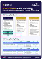 Judy Probax MSP Backup Pricing v2